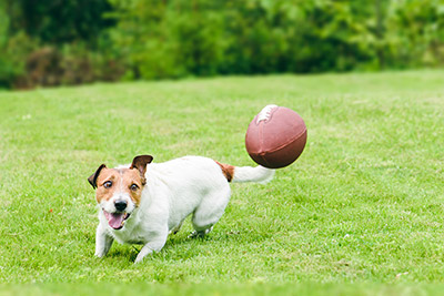 AdobeStock_228513152sss
